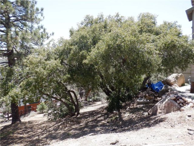 0 Holcomb Creek, Green Valley Lake, CA 92341