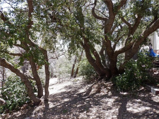 0 Holcomb Creek, Green Valley Lake, CA 92341