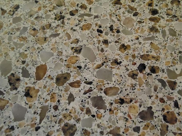 6801 DALI AVENUE 206, Land O Lakes, FL 34637