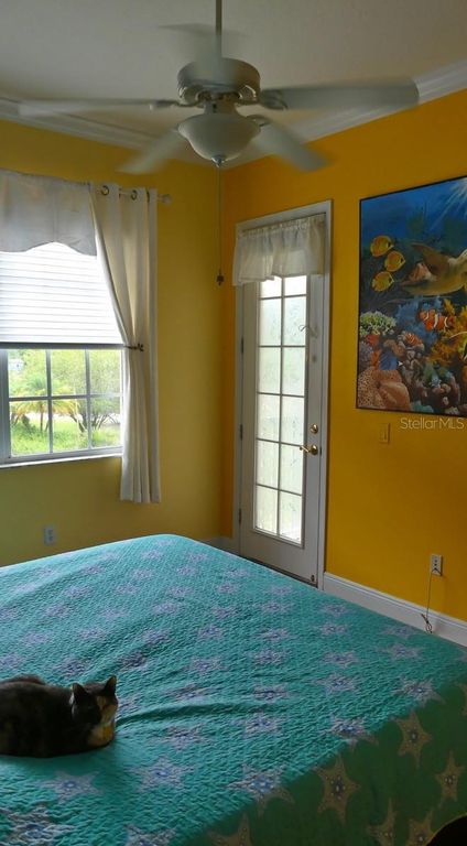 Image 4 of property listing at 6801 DALI AVENUE 206, Land O Lakes, FL 34637