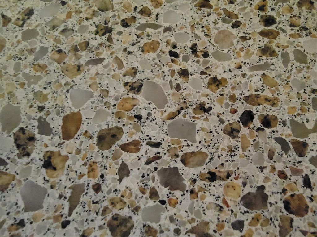 Image 9 of property listing at 6801 DALI AVENUE 206, Land O Lakes, FL 34637