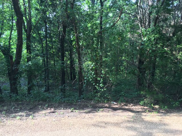 232 Norma Leigh, Gun Barrel City, TX 75156
