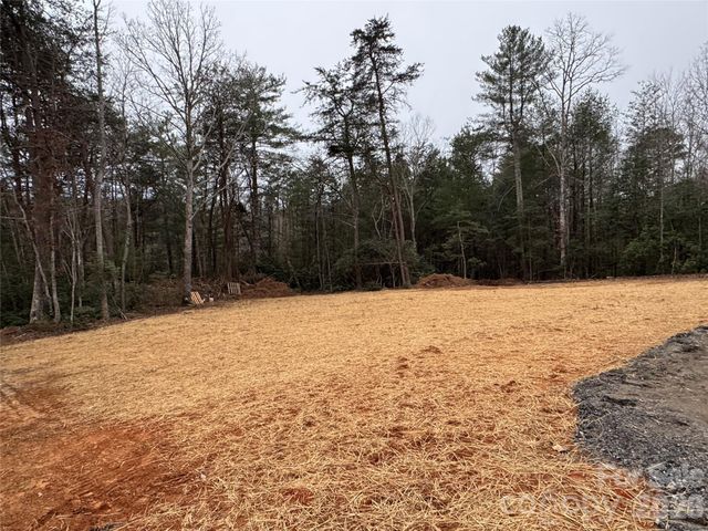 1188 Leck Road, Morganton, NC 28655