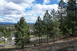 1411 W Toni Rae Dr, Spokane, WA 99218