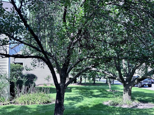 20952 W Olive Street, Plainfield, IL 60544