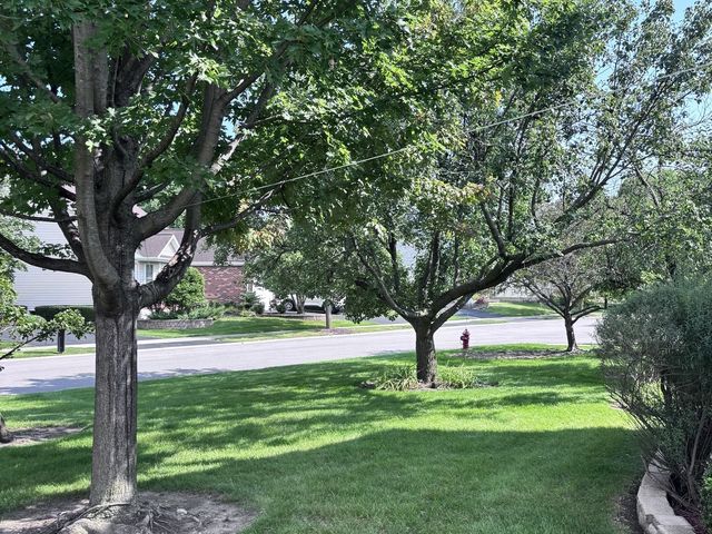 20952 W Olive Street, Plainfield, IL 60544