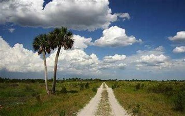 15575 NW 296th Street, Okeechobee, FL 34972