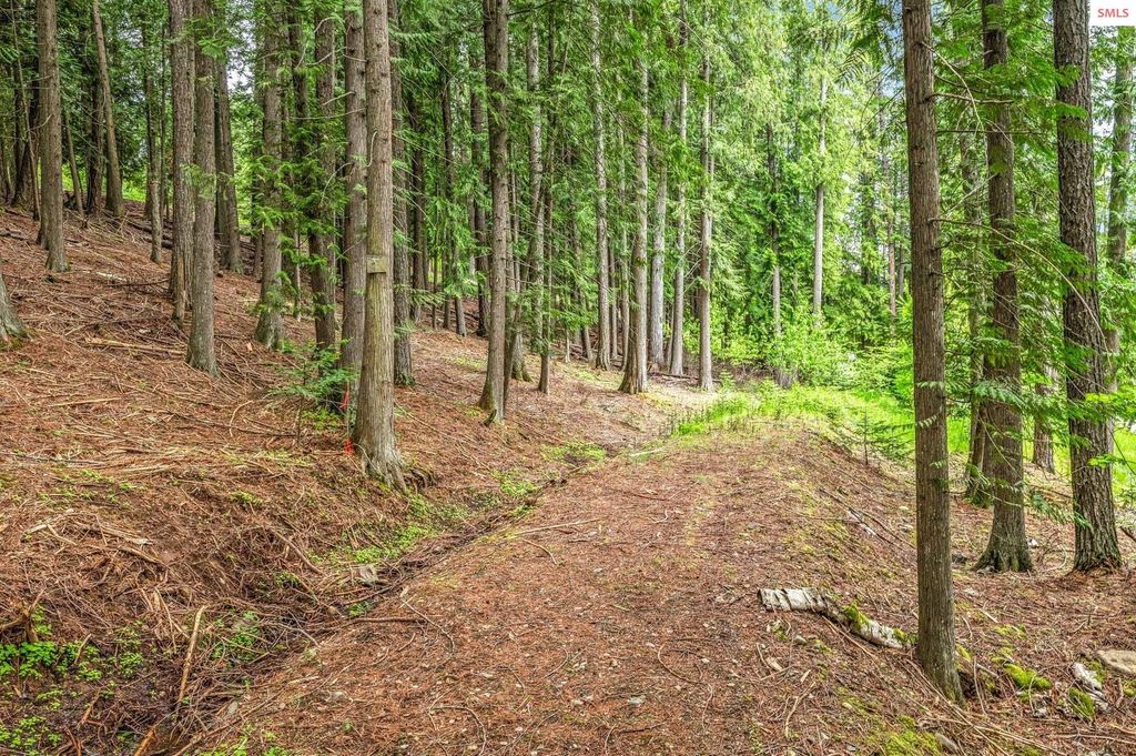 130 Cedar Shoals, Sagle, ID 83860 photo 47