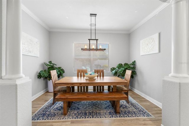 1502 RIVER COURT, Tarpon Springs, FL 34689