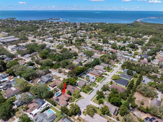 1502 RIVER COURT, Tarpon Springs, FL 34689