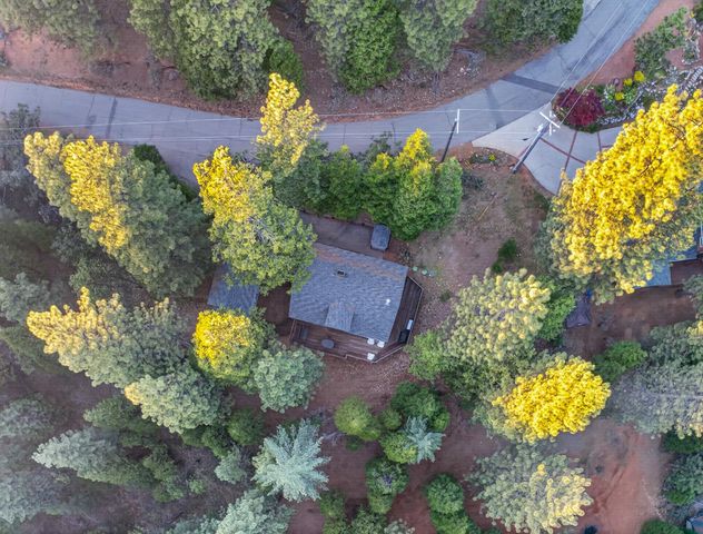 2316 Pamela Ct, Arnold, CA 95223