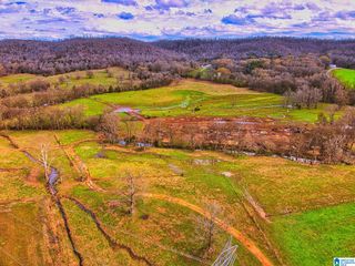 0 HINDS ROAD, Blountsville, AL 35031