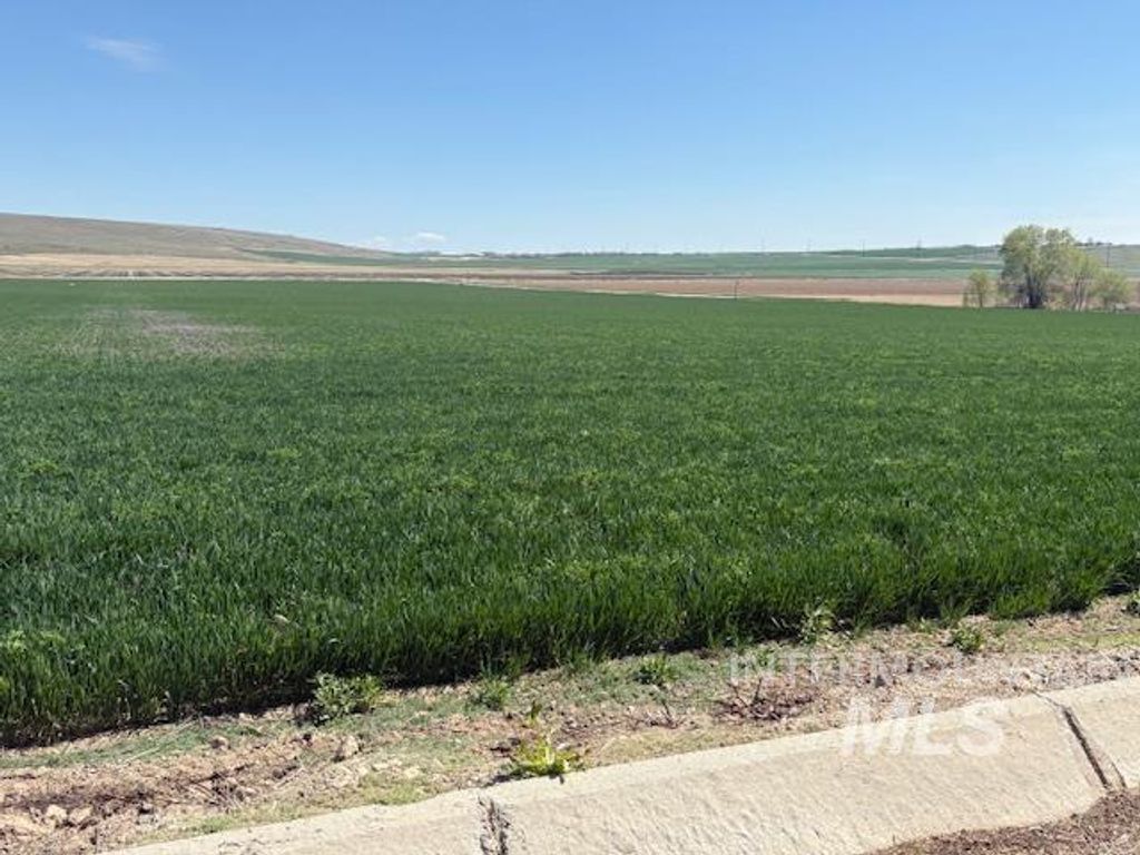 TBD S Robinson Rd., Kuna, ID 83634 photo 6