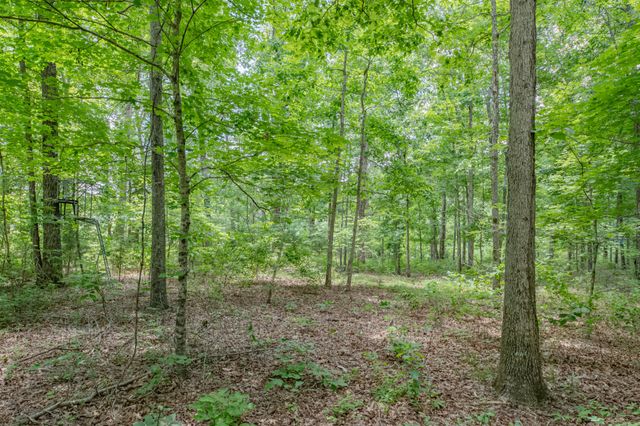 6126 Calvin Potts Rd, Primm Springs, TN 38476