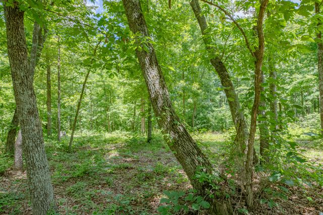 6126 Calvin Potts Rd, Primm Springs, TN 38476