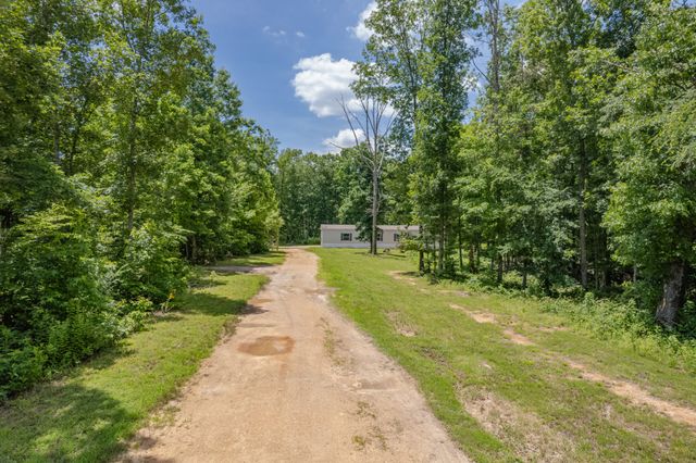 6126 Calvin Potts Rd, Primm Springs, TN 38476