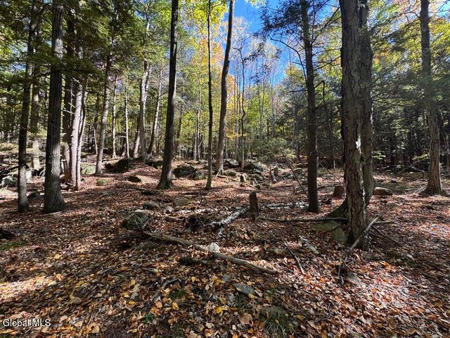 40 Constitution Way, Fort Ann, NY 12827