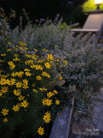 5 Busbee Road, Asheville, NC 28803