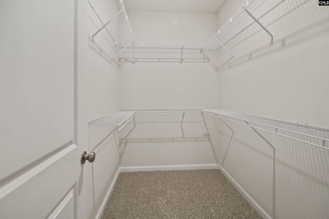 518 Blue Jay Way, Lexington, SC 29073