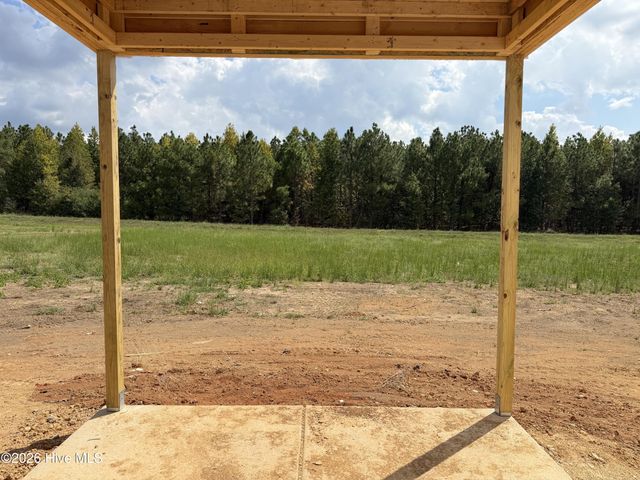 411 Thorntons Creek Drive, Erwin, NC 28339