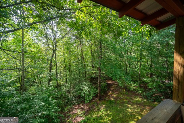 24 Wolf Howl Trail, Sautee Nacoochee, GA 30571
