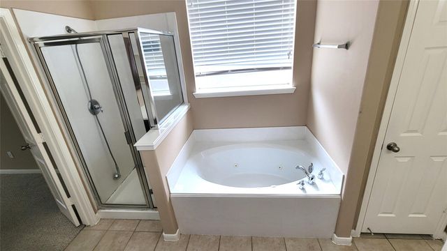 11323 Burmese Lane, Sugar Land, TX 77478