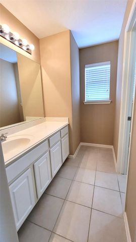 11323 Burmese Lane, Sugar Land, TX 77478