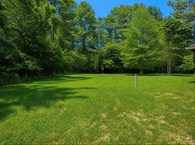 612 Milner Road, Livingston, TX 77351