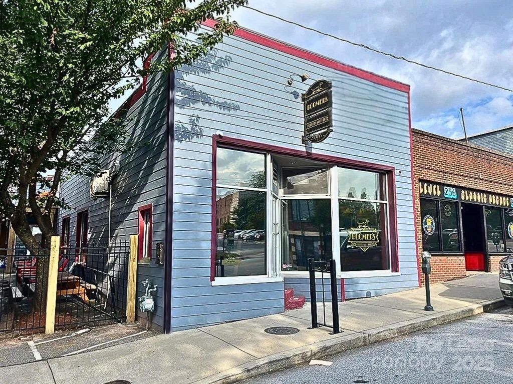 81 Coxe Avenue, Asheville, NC 28801