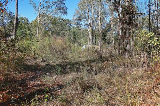 18533 Fm 1485 Road, New Caney, TX 77357