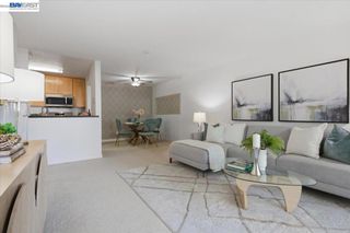 39843 Cedar Blvd 219, Newark, CA 94560