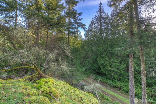 1536 Neck Point Road, Shaw Island, WA 98286