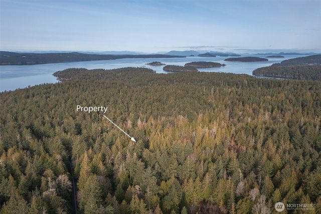 1536 Neck Point Road, Shaw Island, WA 98286