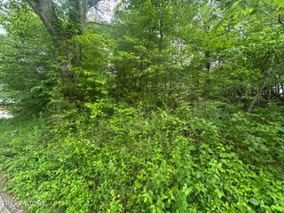 Hensley Rd, Jamestown, TN 38556