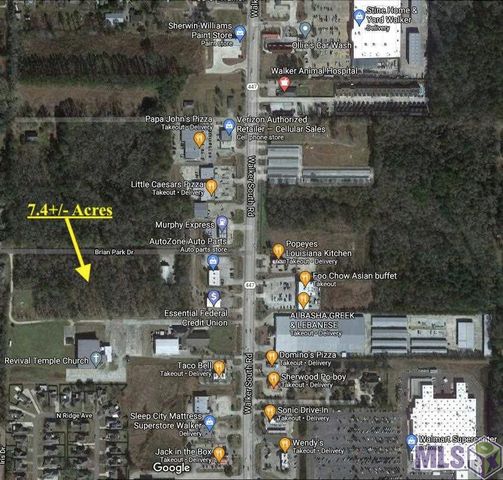7.3 acres Brian Park Dr, Walker, LA 70785