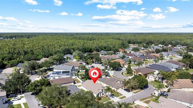 19619 BERGENFELD DRIVE, Land O Lakes, FL 34638