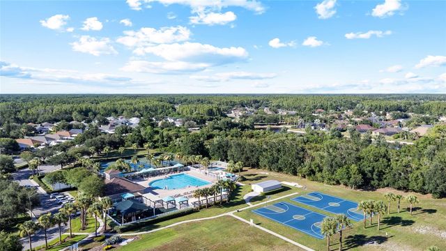 19619 BERGENFELD DRIVE, Land O Lakes, FL 34638