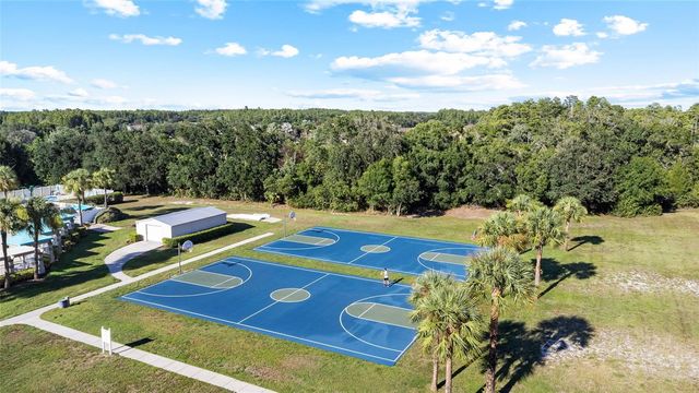 19619 BERGENFELD DRIVE, Land O Lakes, FL 34638