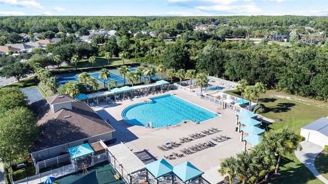 19619 BERGENFELD DRIVE, Land O Lakes, FL 34638