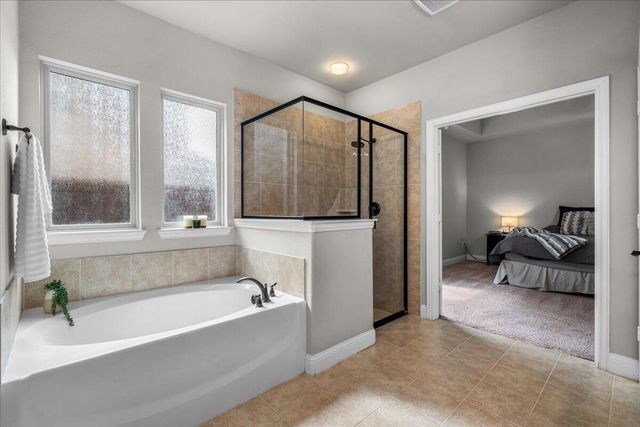 1400 Madrid Falls Drive, Mckinney, TX 75071