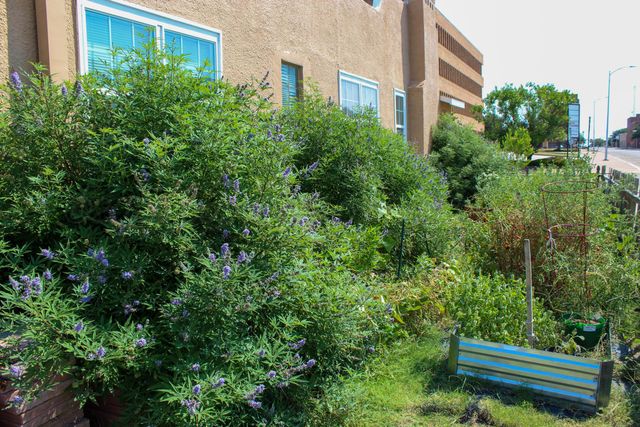 601 Coble Street, Borger, TX 79007