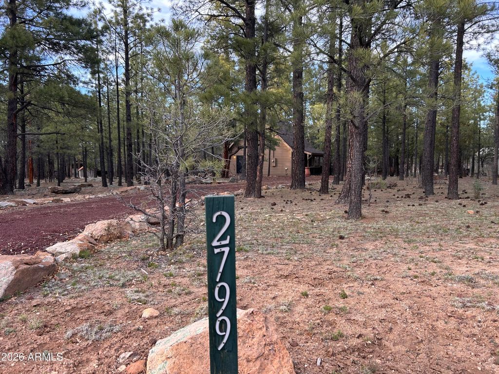 Image 1 of property listing at 2799 APACHE Drive, Happy Jack, AZ 86024