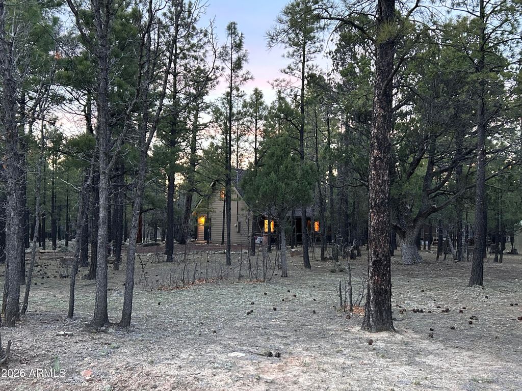 Image 2 of property listing at 2799 APACHE Drive, Happy Jack, AZ 86024