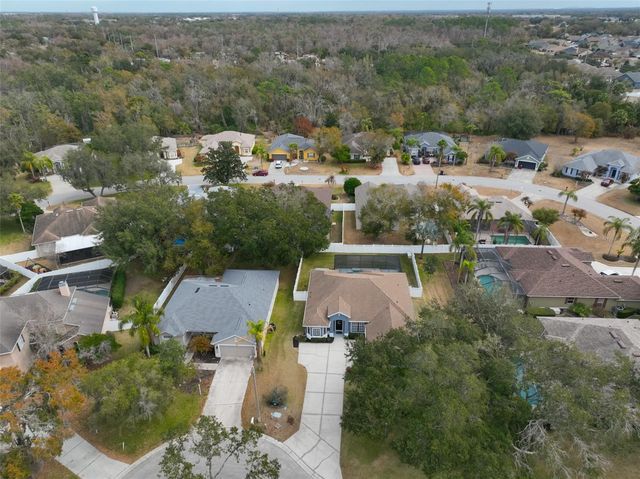2806 BROOKE PINES COURT, Plant City, FL 33566