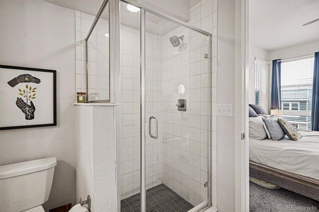 3602 Maldives Drive, Castle Rock, CO 80109