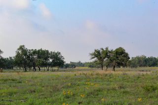 117 Apache Trace # 1, Harper, TX 78631