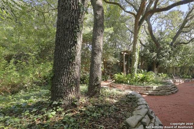 6803 West Ave Apt B, San Antonio, TX 78213