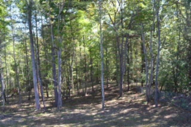 688 Boone Ridge Rd, Jamestown, TN 38556