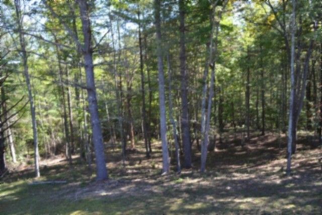 688 Boone Ridge Rd, Jamestown, TN 38556