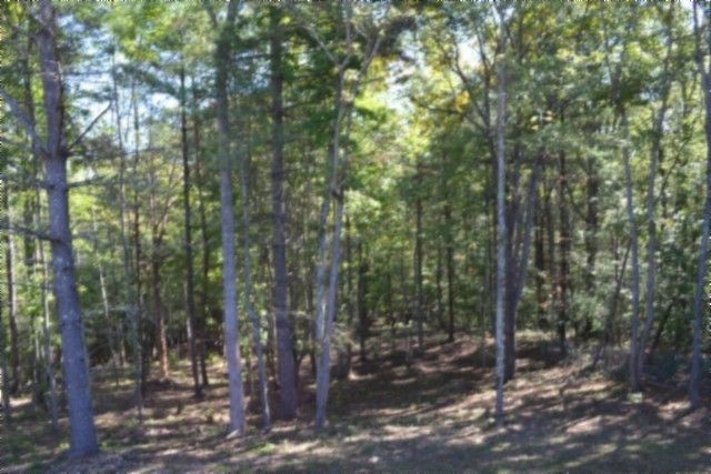 688 Boone Ridge Rd, Jamestown, TN 38556